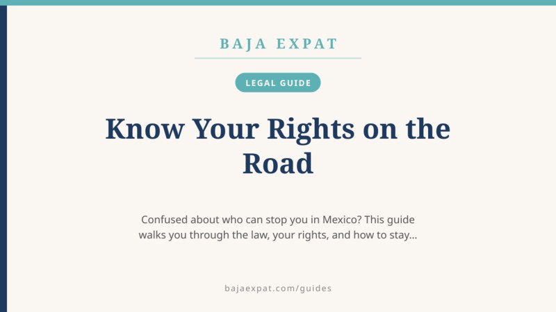 Know Your Rights on the Road